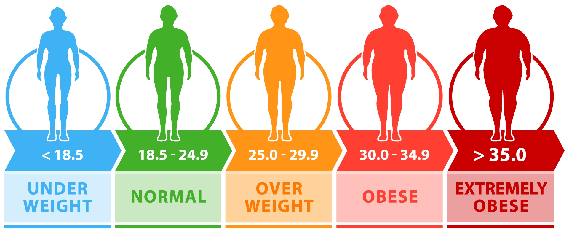 BMI Calculator