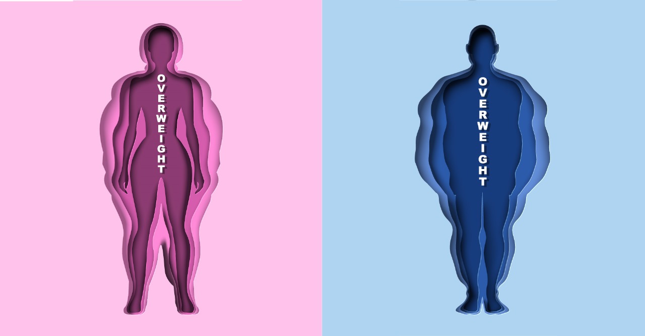 Body Fat Calculator